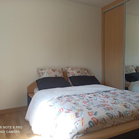 Super appartement avec terasse Bischheim Extérieur photo